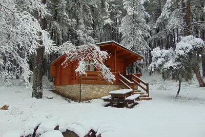 El Llano de los Conejos Cabines - Cabane 5