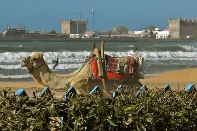 Image de Maison/ryad hors médina Incomparable vue océan, iles + femme de menage