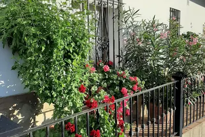 Image de Casa Fefi. Cozy Home 3 chambres avec vue spectaculaire sur le balcon