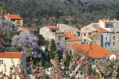 Image de Terrasse Panoramique sous le Soleil Du Sud