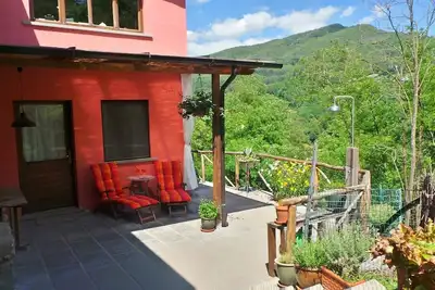 Image de Petite ferme oléicole toscane - Appartement confortable
