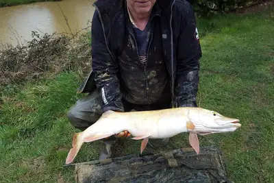 Image de Cottage en Loire de Paye avec piscine privée et lacs de pêche