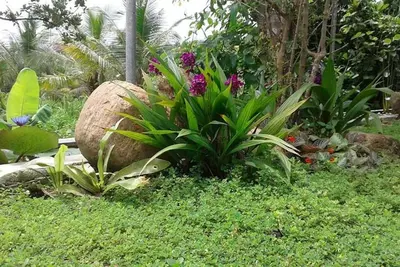 Résidence Koratuwa - Private Country Hideaway