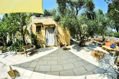 Image de Pajara de Bianca entourée d'oliviers