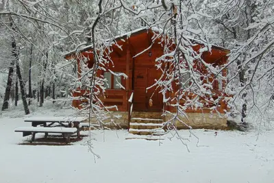 El Llano de los Conejos Cabines - Cabane 6