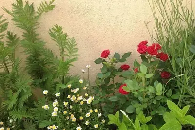 Image de Runa Gîte rural pour 7 personnes