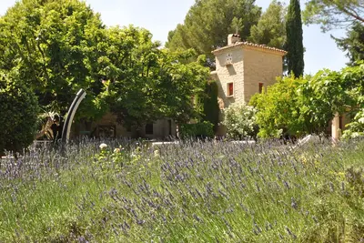 Image de Merveilleux Mas provençal du 17ème siècle au coeur de 4ha de vignes et oliviers