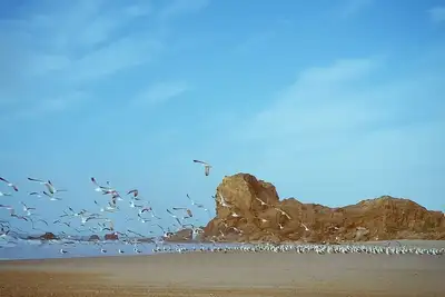 Wild Drop surfcamp \/ Auberge de jeunesse