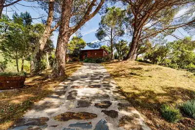 Image de Arrabia Bunga Douro - Maison de Madère avec piscine