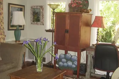 Escapade dans la cime des arbres isolée