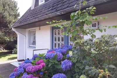 Image de FeWo - Maison Tanja (Specowius)