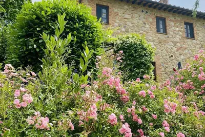 Image de Belle maison avec vue magnifique près de San Gimignano en Toscane avec piscine et WiFi