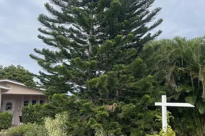 Image de Charmant Cottage Animaux acceptés