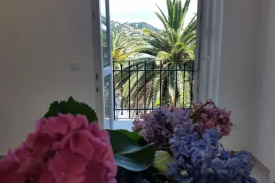Image de Blurapallo vistamare (010046-Lt-0294)