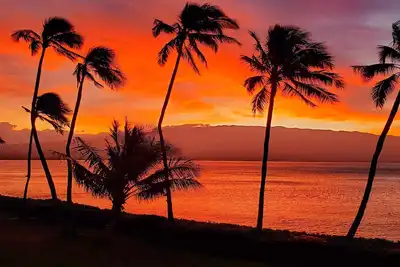 Image de Nouvelle liste! Direct Ocean Front, vues incroyables, Sandy Beach, Ac