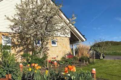 Image de Exclusif nouvelle maison de vacances avec beaucoup d'espace à Bad Arolsen / Twistesee