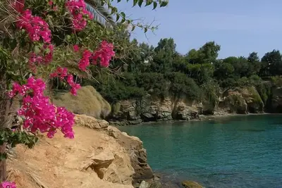 Appartement à côté de la plage