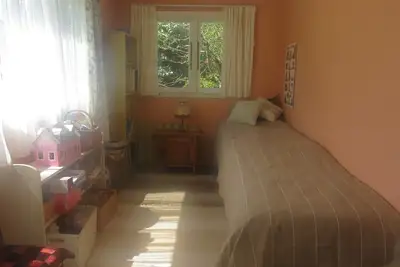 Image de Le chalet Roa Road est proche des Paparoas et la nouvelle grande promenade ouvrira bientôt.
