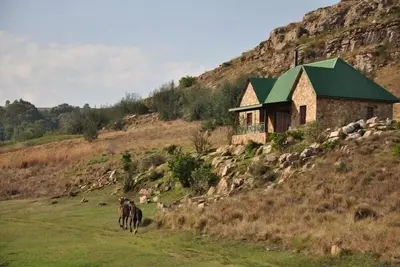 Image de Field and Stream