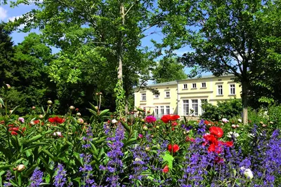 Image de Des vacances au milieu d'une nature magnifique, de l'art, de la tranquillité et du design
