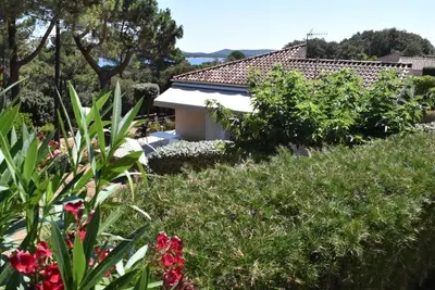 Image de The pine forest of Pezza Cardo Villa D with mountain view and sea access