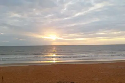 Image de Un pâté de maisons de la belle plage de Coquina Shelled No. 12981