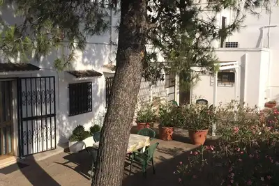 Image de Appartement le laurier-rose, Ă 8 km de la mer et Ă 15 km d'Ostuni