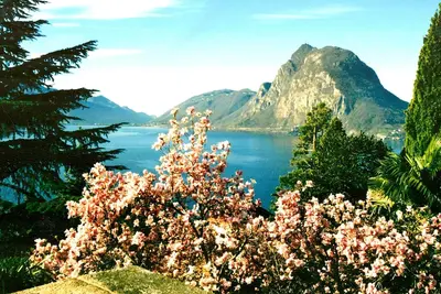 Image de Baronnie \"Violetta\" près du lac de Castagnola, piscine, climatisation, parking
