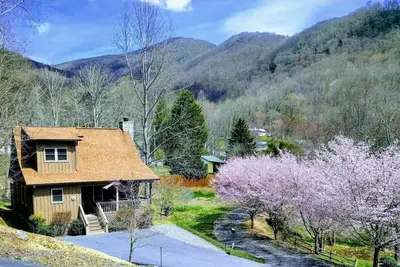Image de Lazy Bear - Quaint, Beau Inside & Out