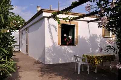 Image de Salanitro