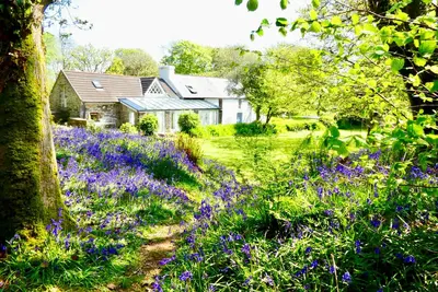 Image de 400 year old traditional West Cork farmhouse, Ireland