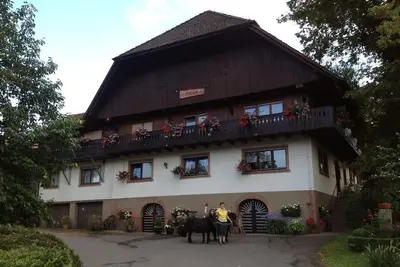 Image de Appartement de vacances Zell am Harmersbach pour 1 - 5 personnes avec 2 chambres à coucher - Apparte