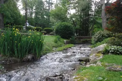 Image de Le plus mignon Cottage Creekside! Superficie Ă explorer, niveau 1 confortable! Demandez des promotions!