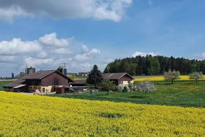 Image de Appartement de vacances Dinhard pour 1 - 5 personnes avec 1 chambre à coucher - Ferme