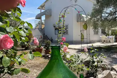 Image de Villa Méditerranée au premier plan des oliviers