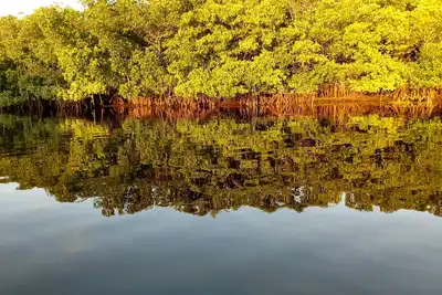Retraite sur la rivière Myakka