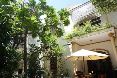 Image de Jardin tropical de la maison de la lune - Lavande