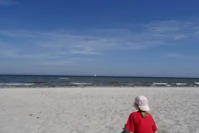 Image de Vacances sous le chaume sur la mer Baltique; WiFi gratuit, Smart Tv 3d, cheminée, douche confort, .