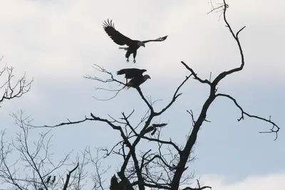 Image de Chasse, pĂŞche, maison de vacances en famille