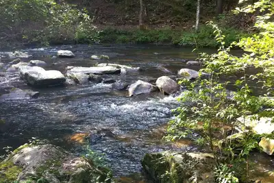 Image de Fish Creel Lodge - N Ga Mountains - Trophée Trout Stream - Ellijay - 3 acres