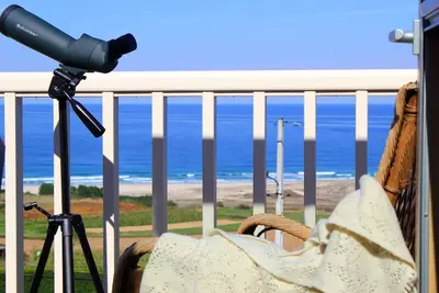 Image de Retraite unique en bord de mer avec une vue fantastique sur l'espace naturel sauvage