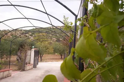 Image de Villino A Ă Villa Angela (Chien, chien, chiens)