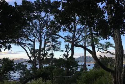 Image de Serene Sausalito une chambre dans la loi-unité à 20 minutes de San Francisco
