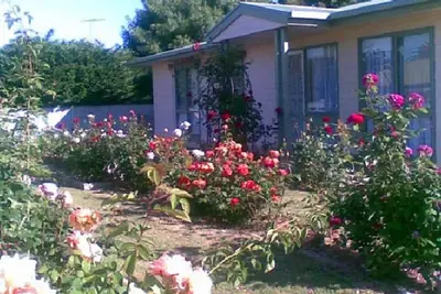 Image de Rose de mer - Port Vincent