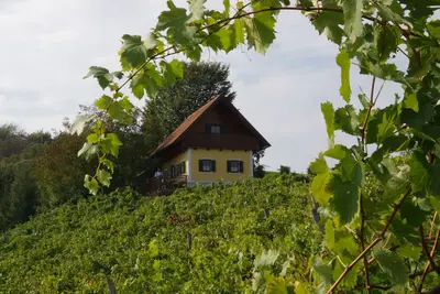 Image de Maison de vacances au milieu des vignes
