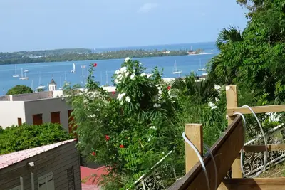 Image de \"Orchidées de Minuit\":Un éclat d'Antilles à Le Marin en Martinique