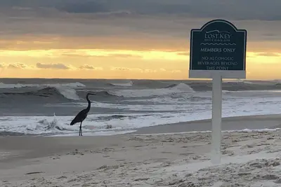 Image de Perdu sur la côte - Lost Key Resort