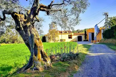 Image de Gîte rural (location complète) Mas Hortus pour 13 personnes