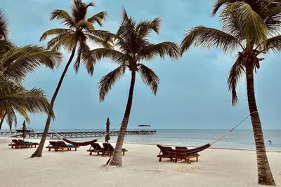 Image de \"The Placencia\" disponible les 12 \/ 21-12 \/ 28 et 12 \/ 28-1 \/ 4\/2020 Luxury Oceanfront