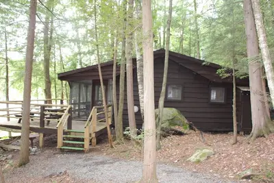 Image de Vintage Adirondack Cabin Saranac Lake - animaux acceptés
